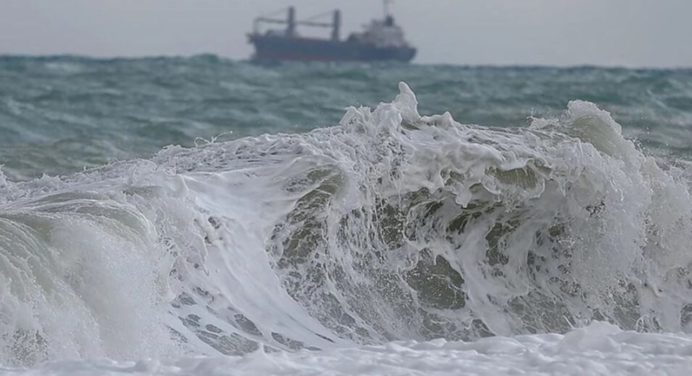 Tsunami en costas de Japón sorprende con olas de medio metro