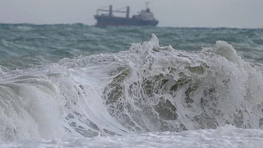 Tsunami en costas de Japón