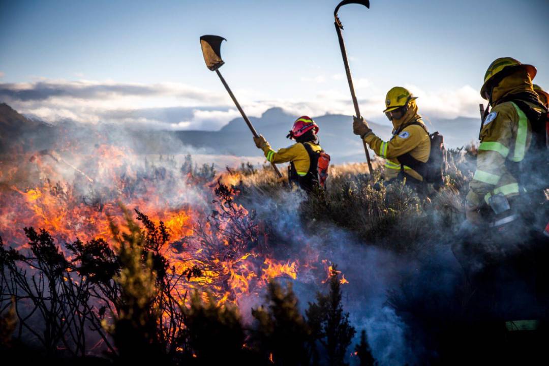 Ecuador Braces for Impact as 11 Forest Fires Rage On