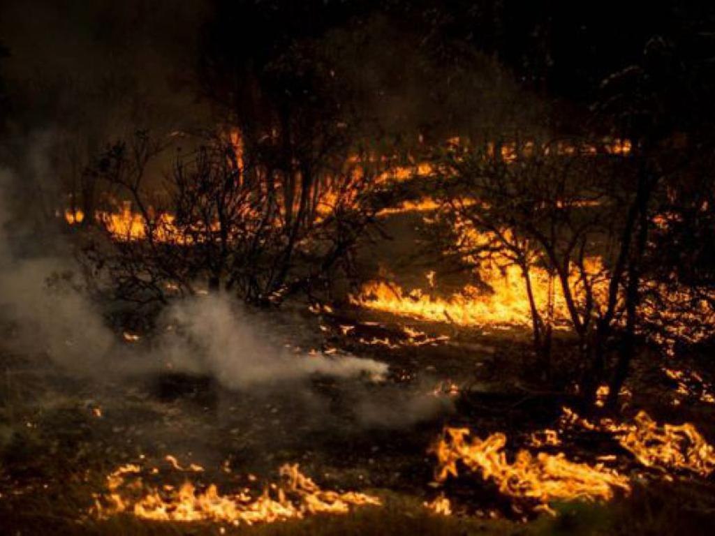 Ecuador en alerta 