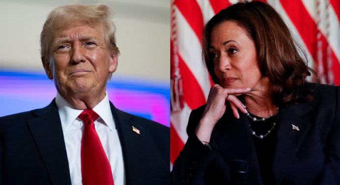 Harris vs Trump: Esto reflejan las últimas encuestas en Estados Unidos