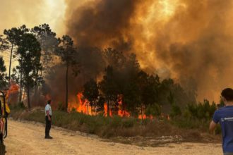 Incendios en Portugal