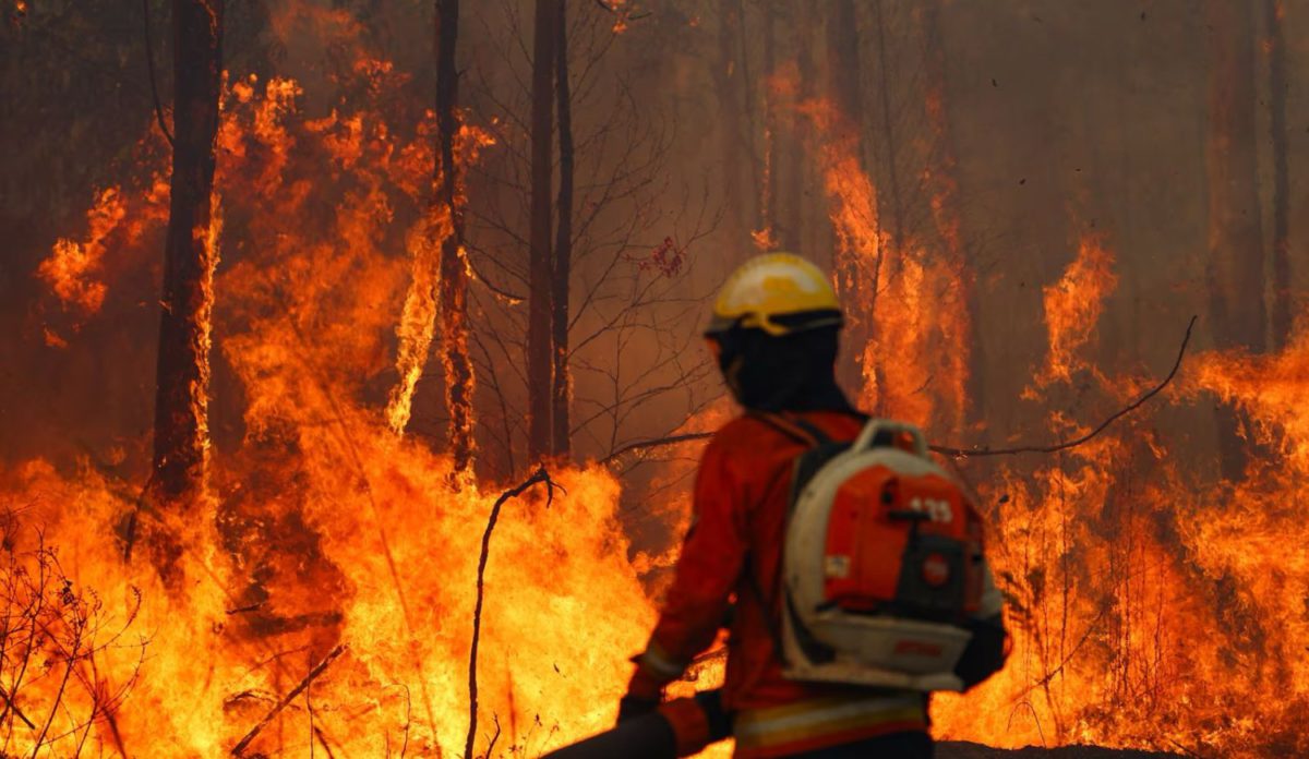 Bolivia’s Blaze: Flights Grounded and Classrooms Silent Amid Forest Fires