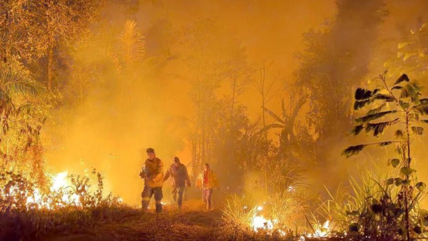 Incendios forestales en Bolivia.