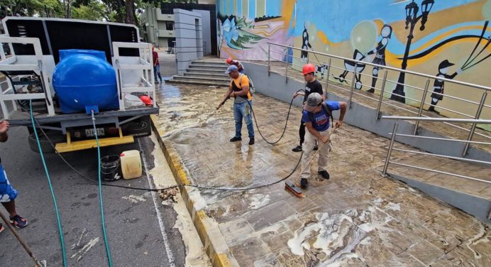 Limpieza y mantenimiento garantizan belleza del Túnel vegetal de Maturín