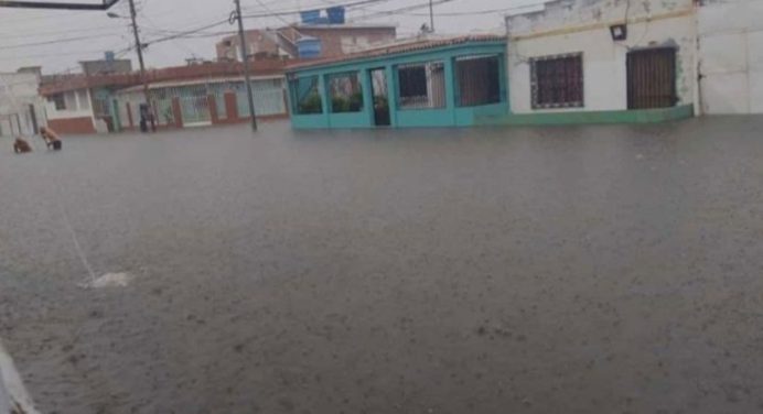 Lluvias en Punto Fijo causan inundaciones en al menos 60 casas