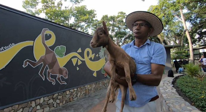 Parque La Guaricha recibe nuevas especies animales