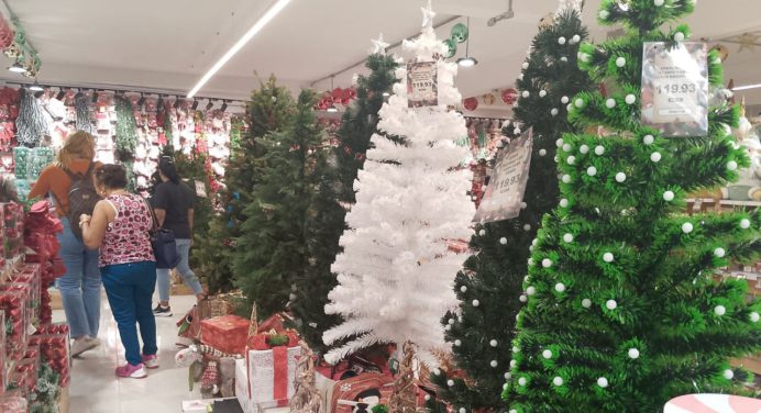 Árboles de Navidad se consiguen a partir de 18 dólares