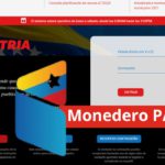 activa en monedero PATRIA