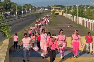 damas rosa