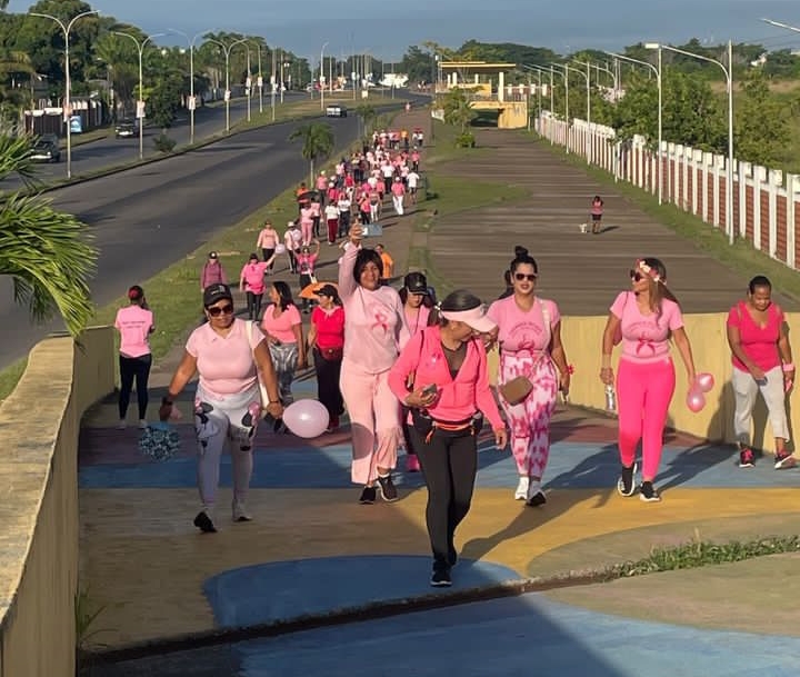 damas rosa