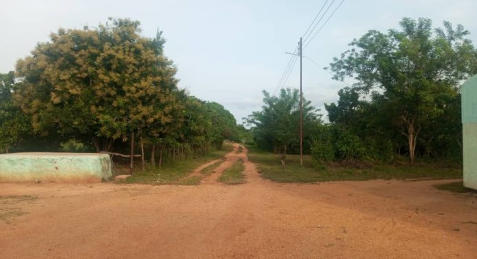 Dos días sin electricidad tiene pueblo de La Madera en Aguasay