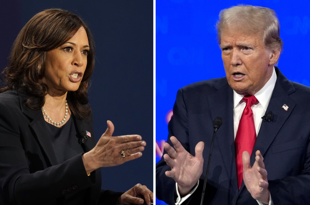 Kamala Harris afirma que Trump "es un fascista" 2 kamala harris afirma que trump es un fascista laverdaddemonagas.com image