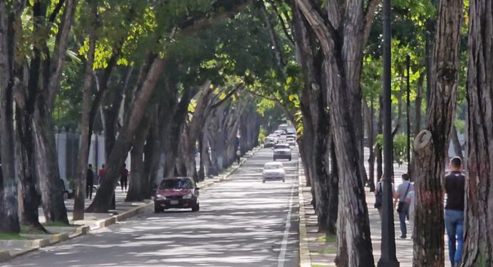 Paisajes e infraestructura de Maturín cautivaron a turistas antes del partido de La Vinotinto