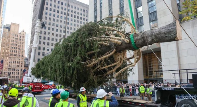 Árbol de Navidad del Rockefeller Center llega a Nueva York (+VIDEO)