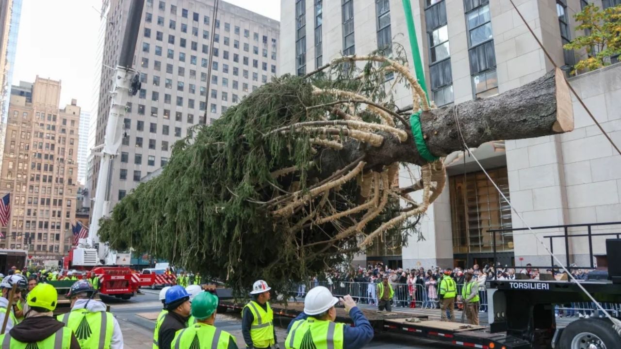 Árbol de Navidad del Rockefeller Center llega a Nueva York (+VIDEO)