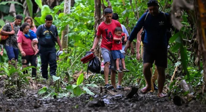 Cae un 40% el ingreso a Panamá de migrantes irregulares a través de la selva del Darién