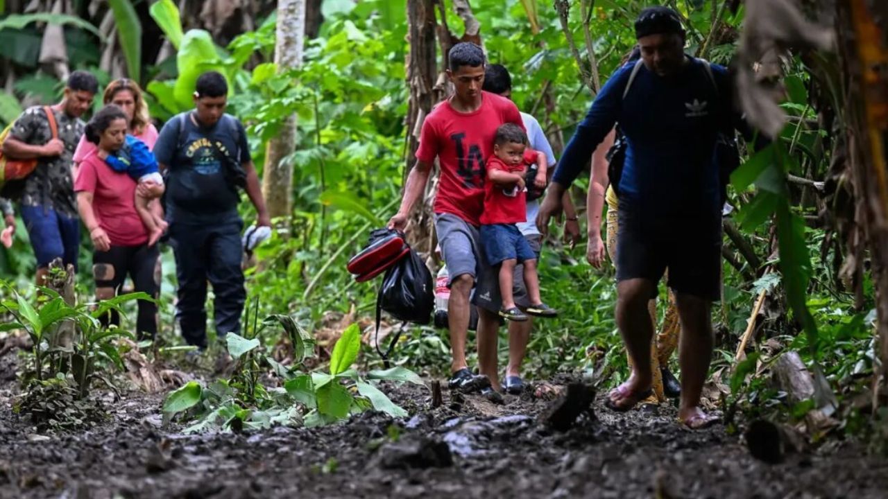 Cae un 40% el ingreso a Panamá de migrantes irregulares a través de la selva del Darién