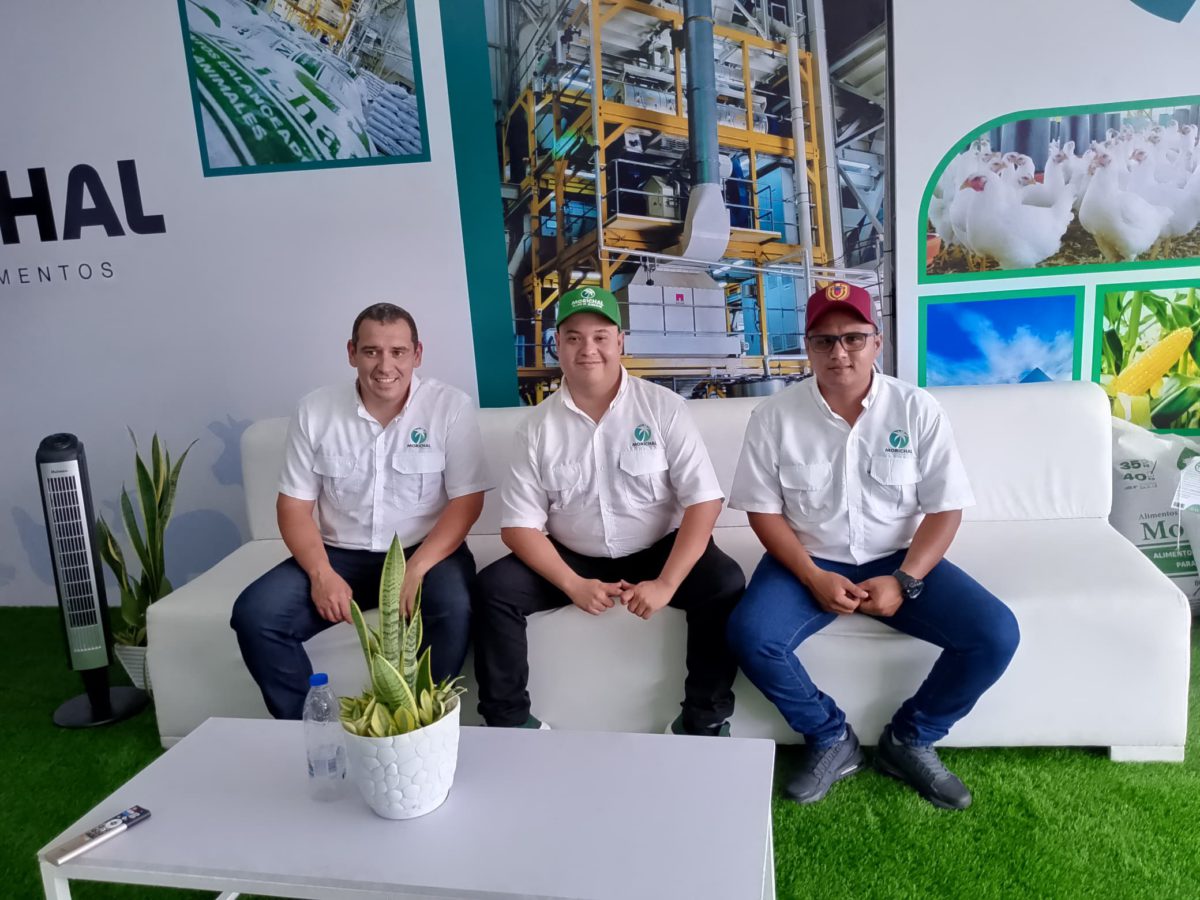 Casas comerciales 