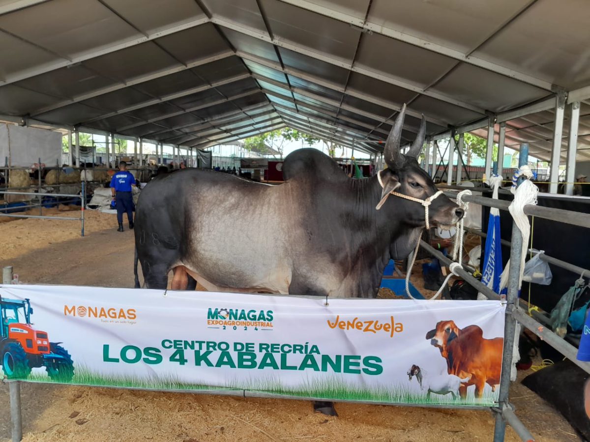 Monagas Expo Agroindustrial 2024 contará con más de 400 expositores 6 Expoagroindustrial