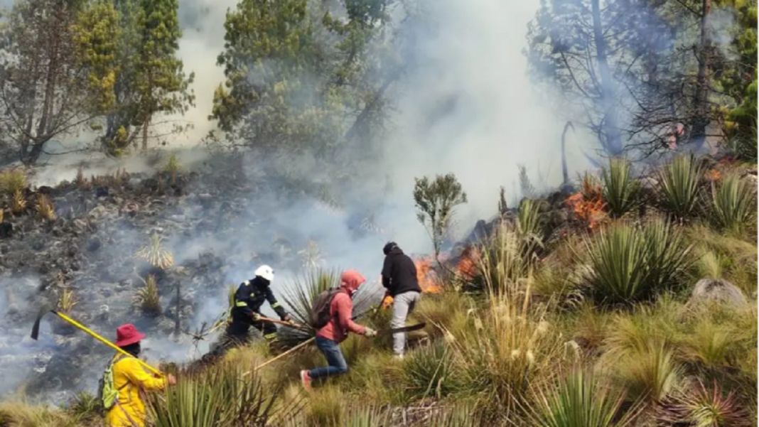 parque nacional Cajas 