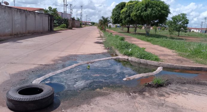 Habitantes de Patria Nueva llevan más de 10 años con desborde de aguas servidas