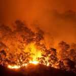 Incendios forestales en Australia