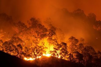 Incendios forestales en Australia