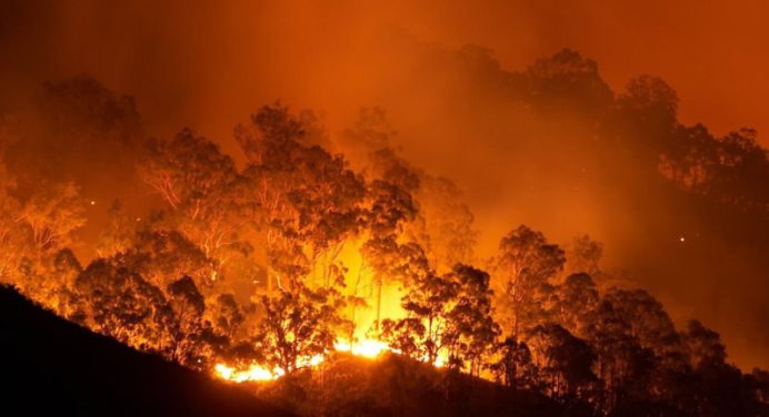 Más de 700 km² arrasados por incendios forestales en Australia