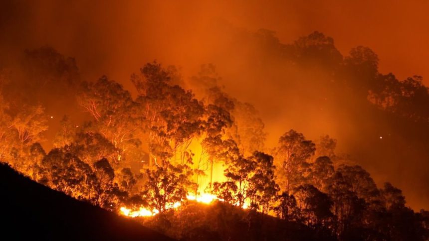 Incendios forestales en Australia