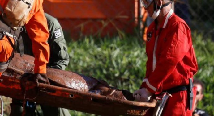 Mueren 23 personas en un accidente de autobús escolar en Brasil