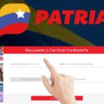 acceso al Sistema Patria