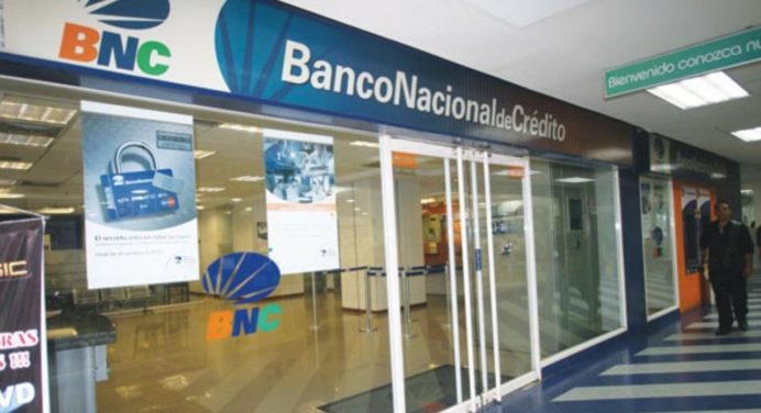 Sepa cómo solicitar un crédito para emprendedores en el BNC