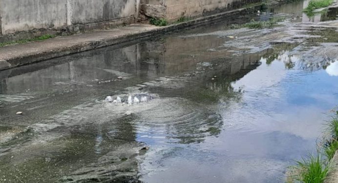 Desborde de aguas servidas en Brisas del Morichal afecta a más de 100 familias