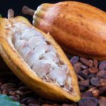 cacao en el mercado internacional