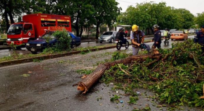 Fuertes lluvias dejaron 11 árboles caídos e inundaron calles de Barquisimeto este #22dic