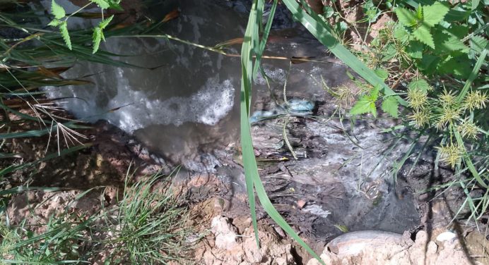 Más de 10 familias afectadas por desborde de aguas negras en Brisas del Guarapiche