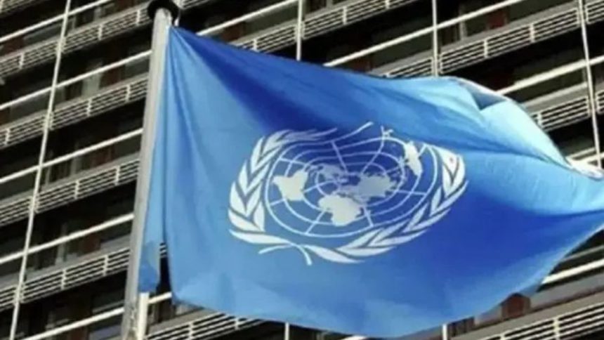 Oficina de Derechos Humanos de la ONU