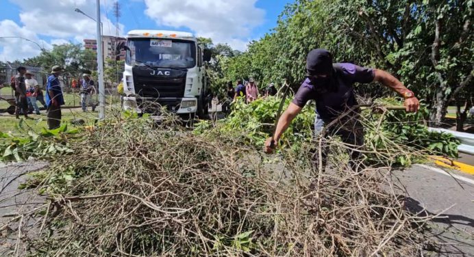 Alcaldía de Maturín y Ministerio de Obras Públicas ejecutan plan de desmalezamiento