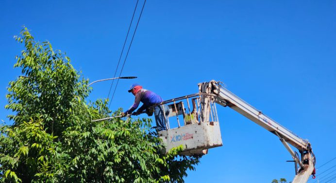 Alcaldía ejecuta labores de pica y poda en la avenida Alirio Ugarte Pelayo de Maturín