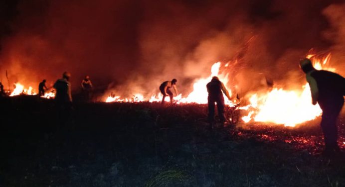 Bomberos forestales controlan incendio de vegetación en finca de Pueblo Libre