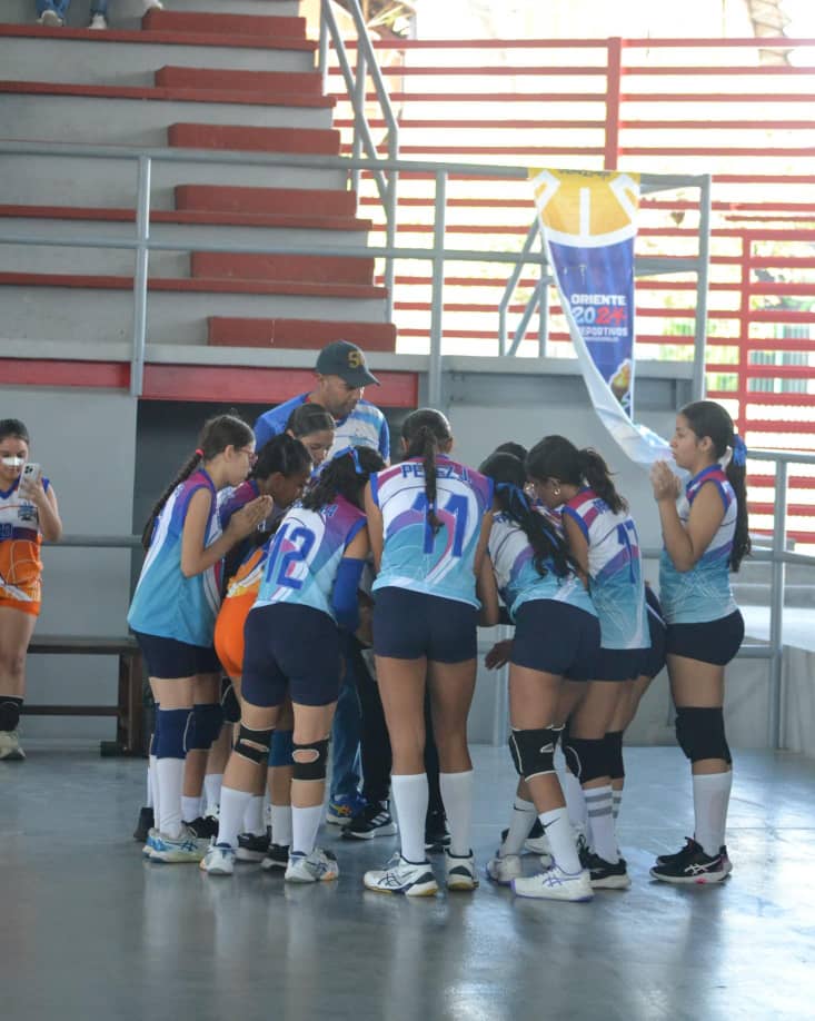 Voleibol