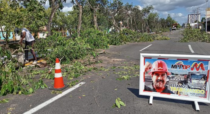 Con jornada de pica y poda Ministerio de Obras Públicas atiende la avenida Orinoco en Maturín