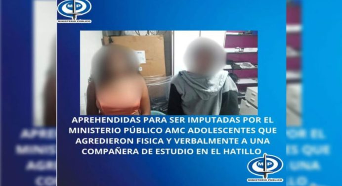 Detenidas dos jóvenes por acoso a una escolar de 13 años