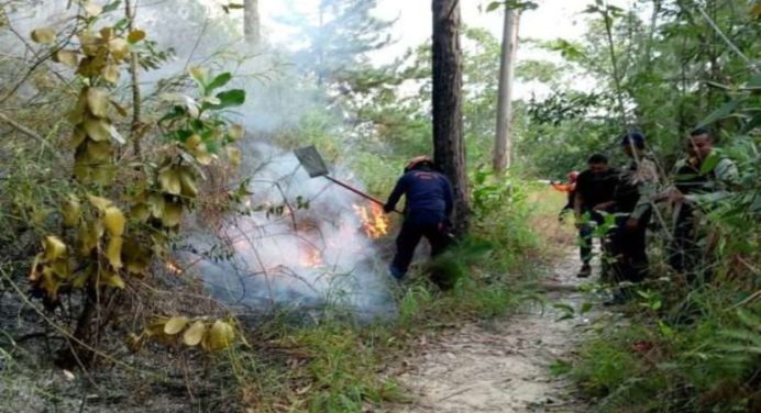 Inac confirmó muerte de los 3 tripulantes de la aeronave siniestrada