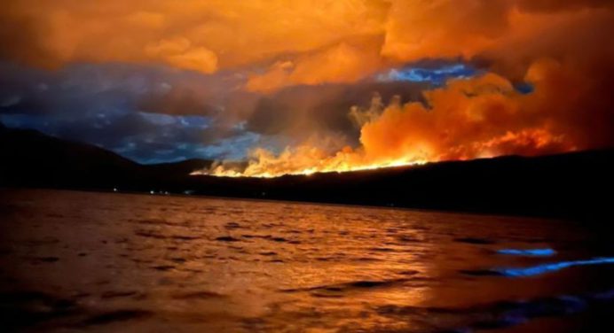 Incendio en Argentina: más de 3.000 hectáreas arrasadas en un parque nacional