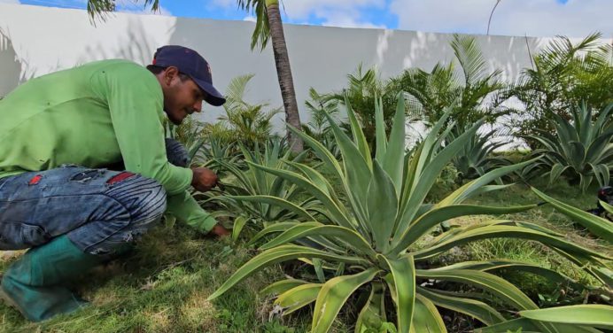 Jornadas de desmalezamiento y ornato se extienden por todo el municipio Maturín