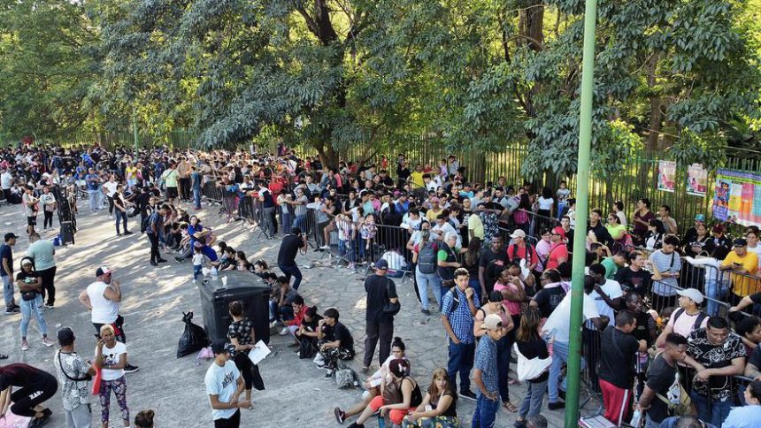 migrantes
