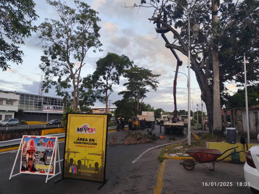 avenida Orinoco