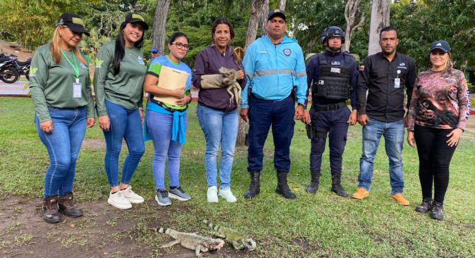 Parque La Guaricha será nuevo hábitat de 11 reptiles rescatados